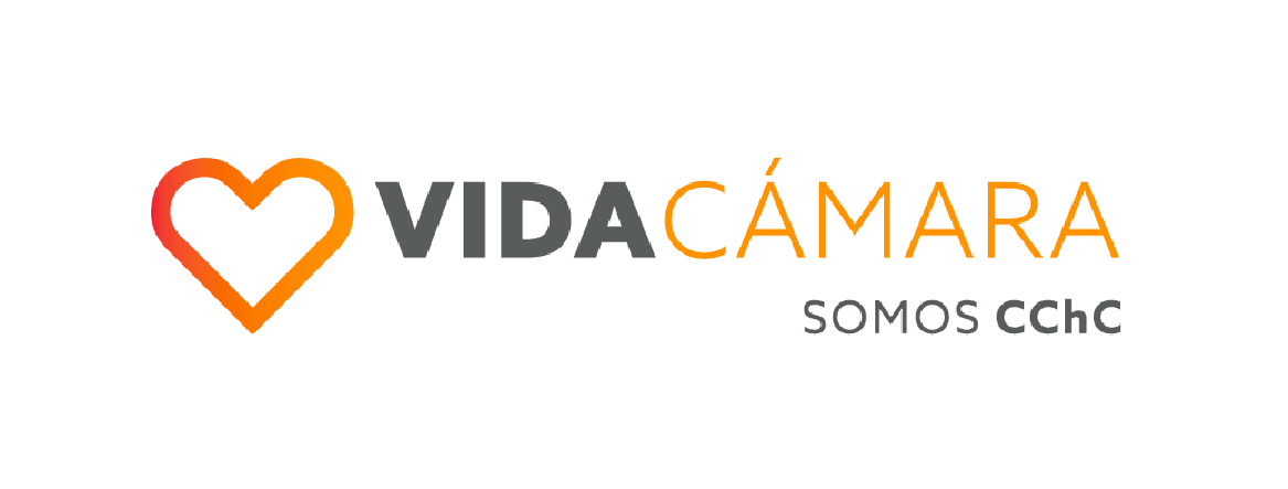 logo-vida